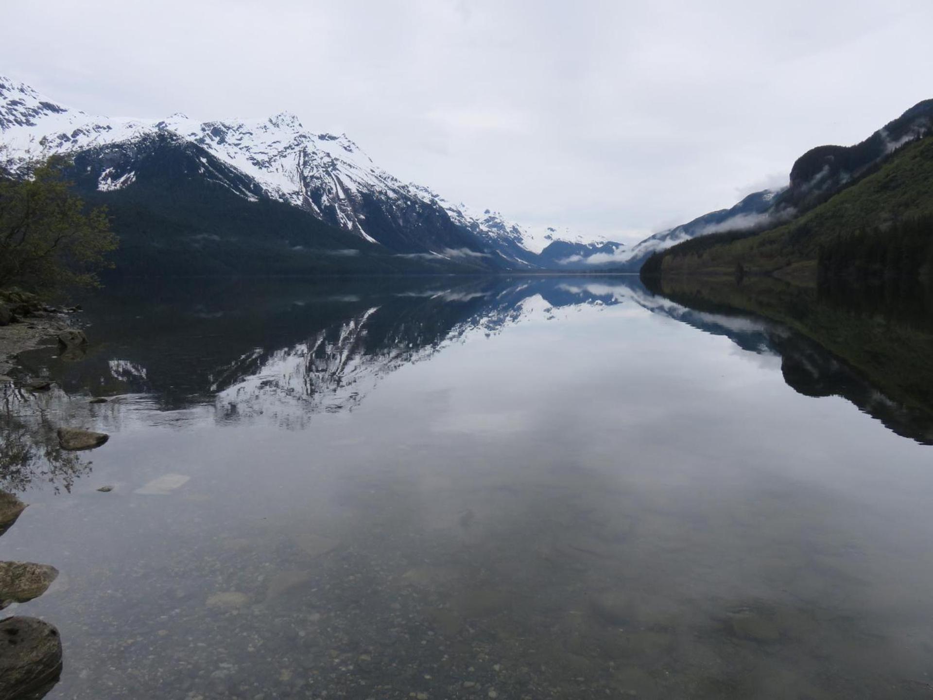 Suite 2 Lynn View Lodge Haines Esterno foto